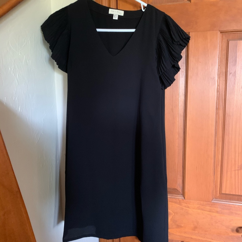 NWOT Black V-Neck Dress with Ruffle Sleeves